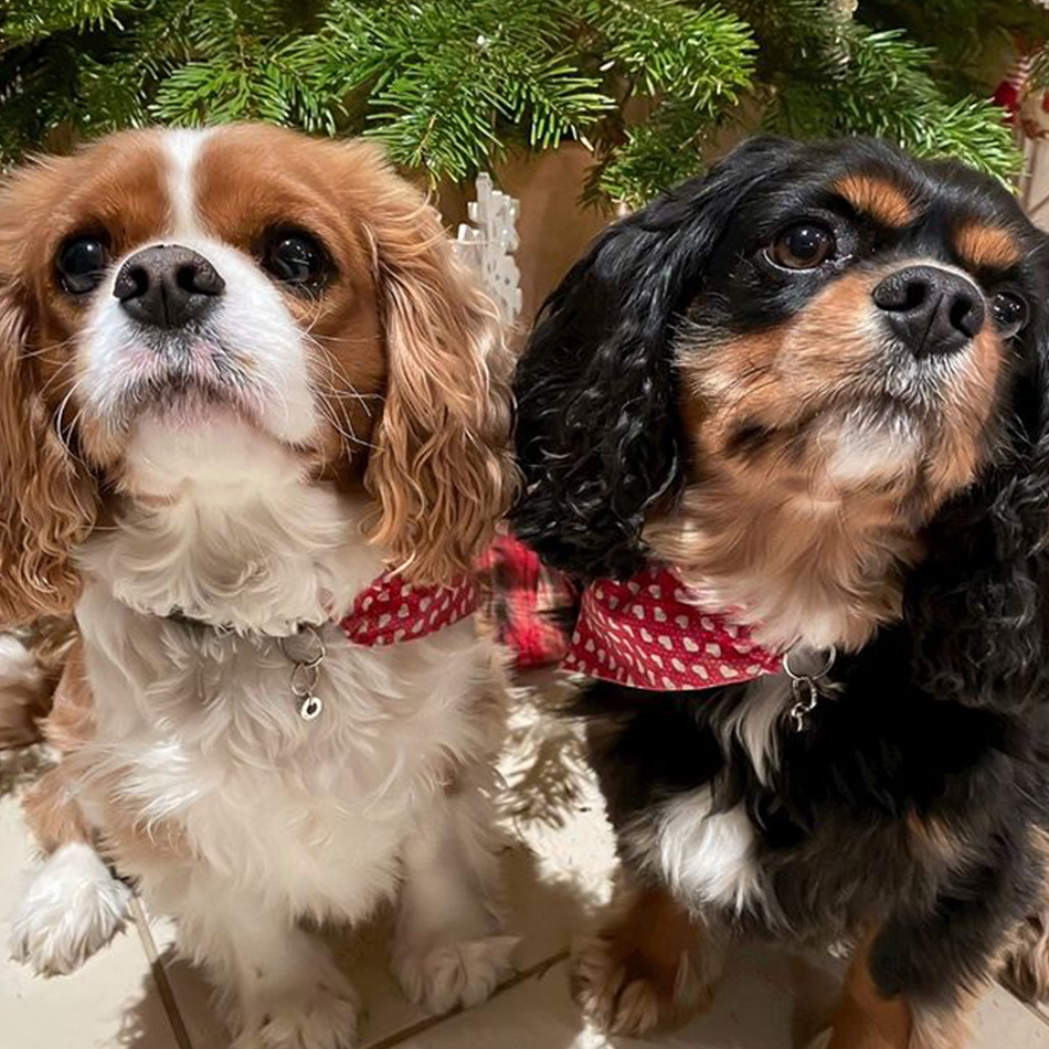 showing off their beads