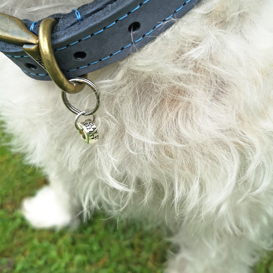 Luxury Pet ID Beads - Image 4